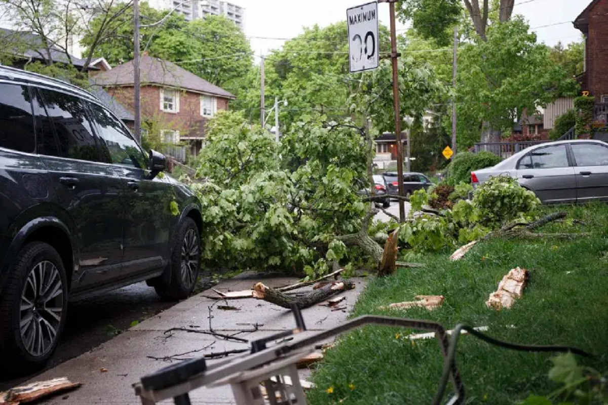 توفان و باد در تورنتو